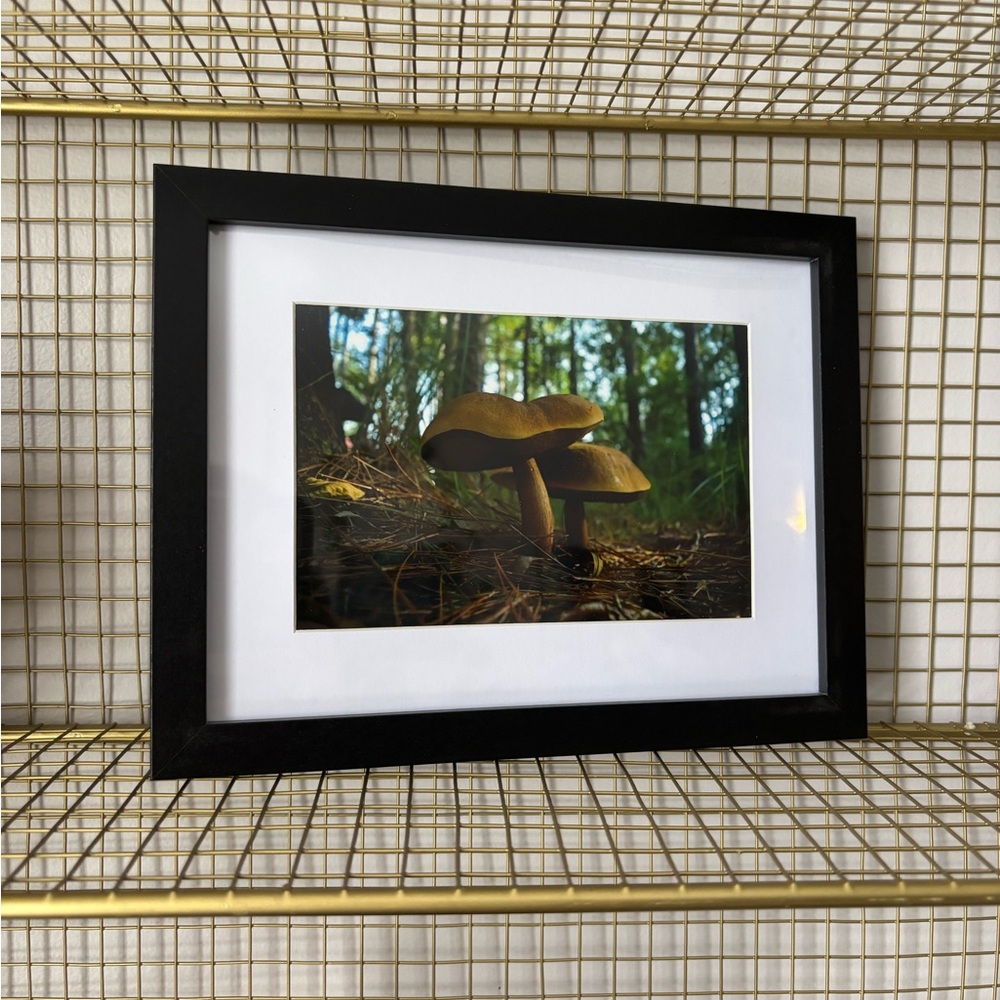 “River Shrooms” 🖤  4” x 6” Framed Original Print by deSmit Design - Picture 2 of 4
